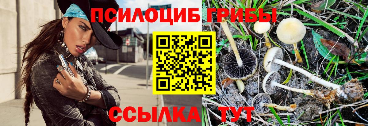 Нижний Тагил  Псилоцибиновые грибы Psilocybine cubensis  Вход с VPN  Псилоцибиновые грибы прущие грибы 